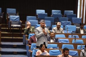 तीनकुने घटनाबारे उच्चस्तरीय न्यायिक छानबिन आयोग गठन गर्न माग