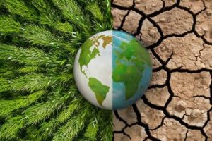 जलबायु परिवर्तन: सन् २०३५ सम्ममा खाद्यान्नको मूल्य दोब्बर हुने