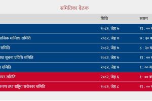 लेखासहित संघीय संसदका ५ वटा समितिको बैठक बस्दै
