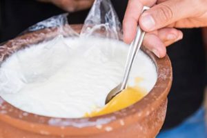 दहीमा यी दुइका बिउ मिसाएर कपालमा लगाउनुहोस्, झर्न हुन्छ कम