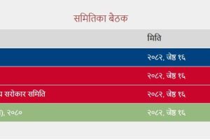 संघीय संसदका चारवटा समितिको बैठक बस्दैँ