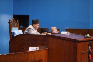 संसद्‍मा आज पनि नीति तथा कार्यक्रममाथि छलफल