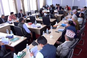 आज दुई वटा संसदीय समितिको बैठक बस्ने