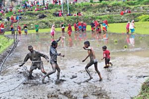 आज असार १५ : राष्ट्रिय धान दिवस तथा दही चिउरा खाने दिन