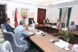 भिजिट भिसा प्रकरणः बैरागीको संयोजकत्वमा उच्चस्तरीय छानबिन समिति गठन