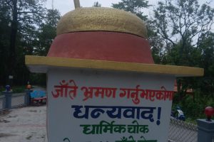 लेटाङमा नेपालकै सबैभन्दा ठूलो जातो